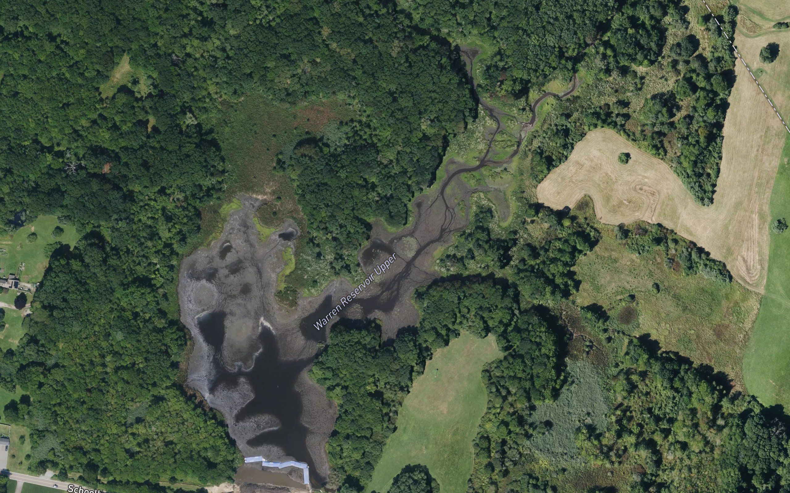 Warren Reservoir Upper