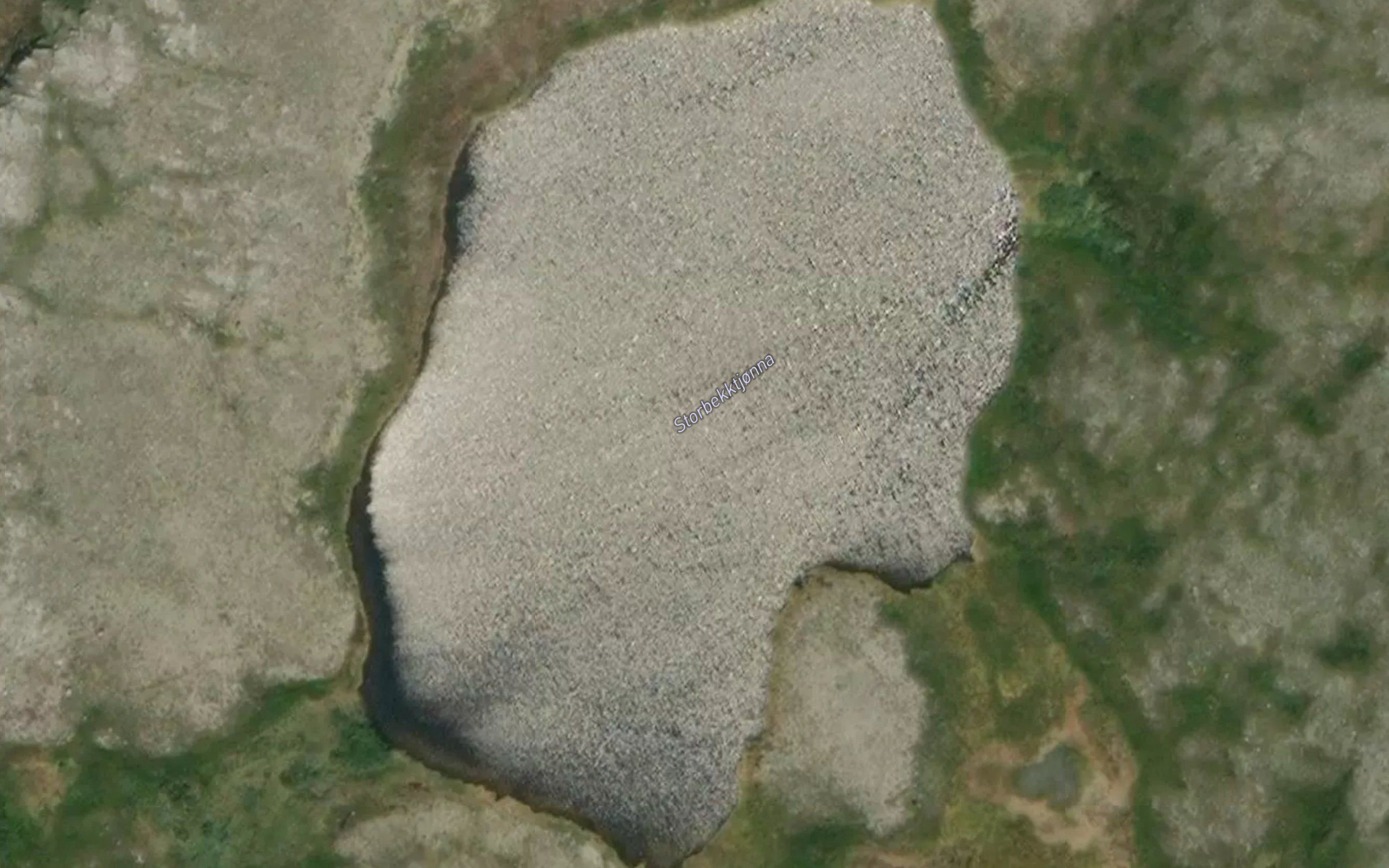 Storbekktjonna