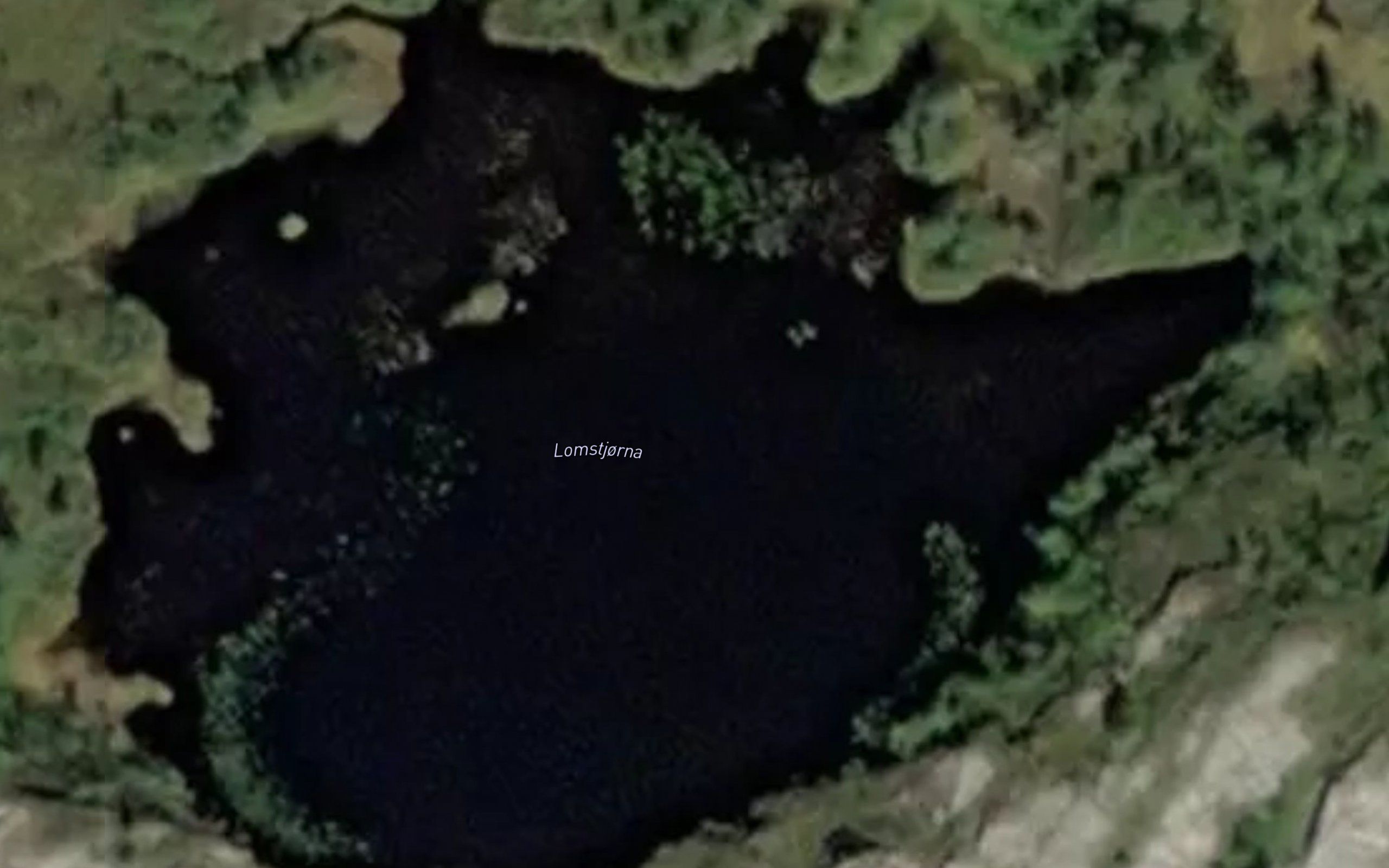 Lomstjorna