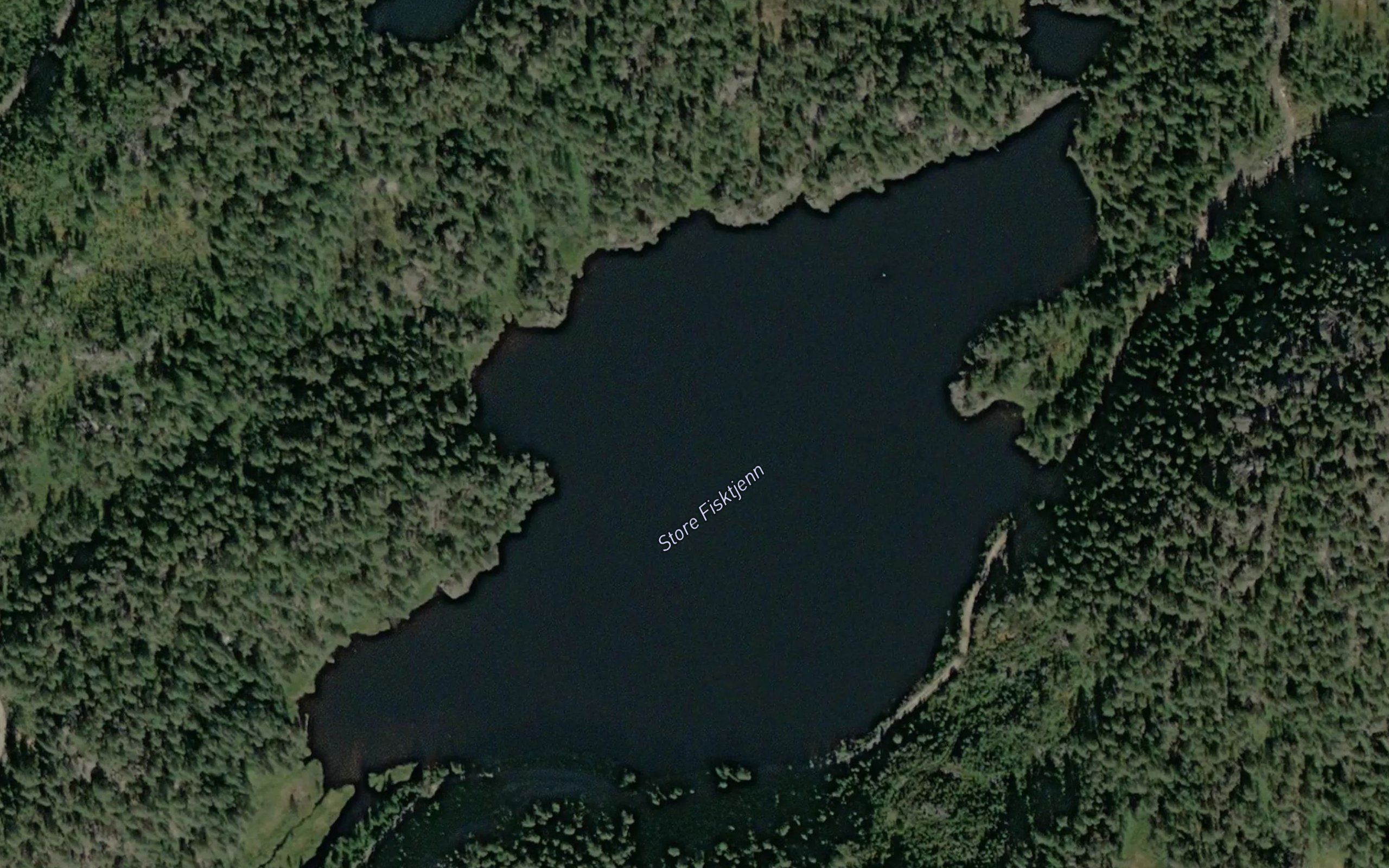 Fisktjern,store