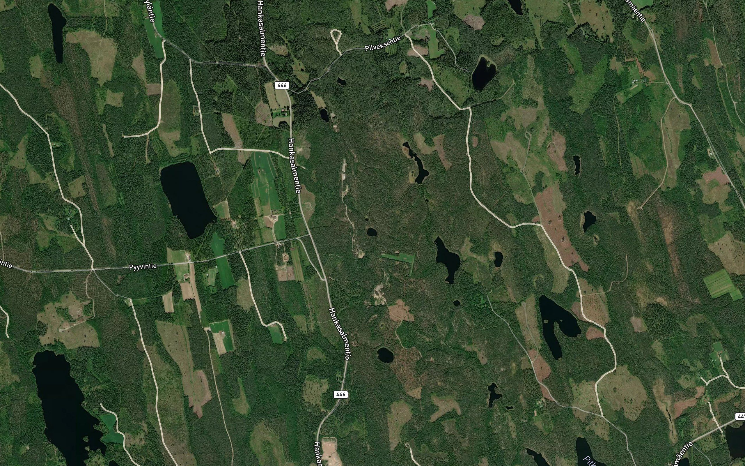 Heinalammit