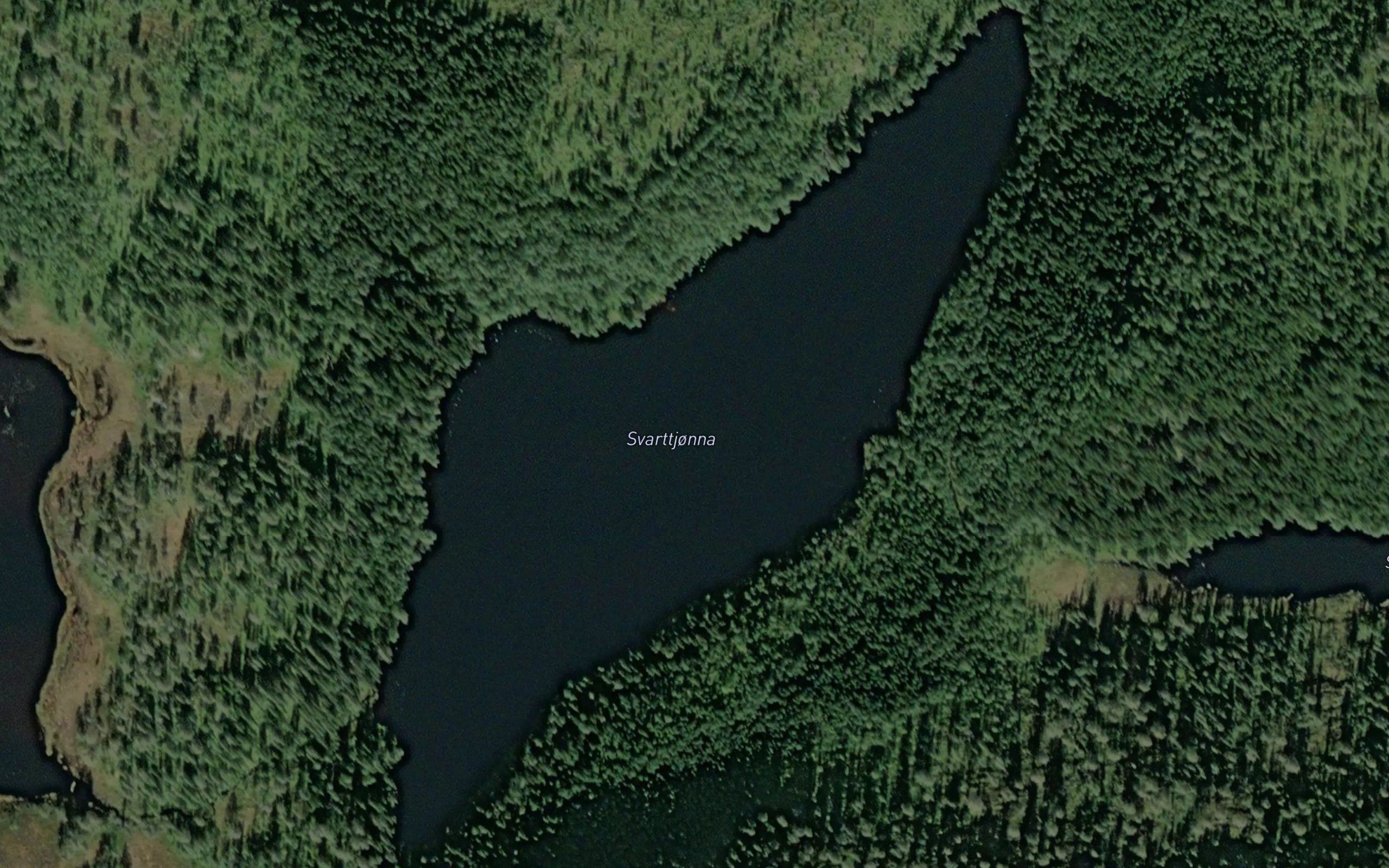Svarttjorna