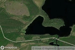 Pitkalahti