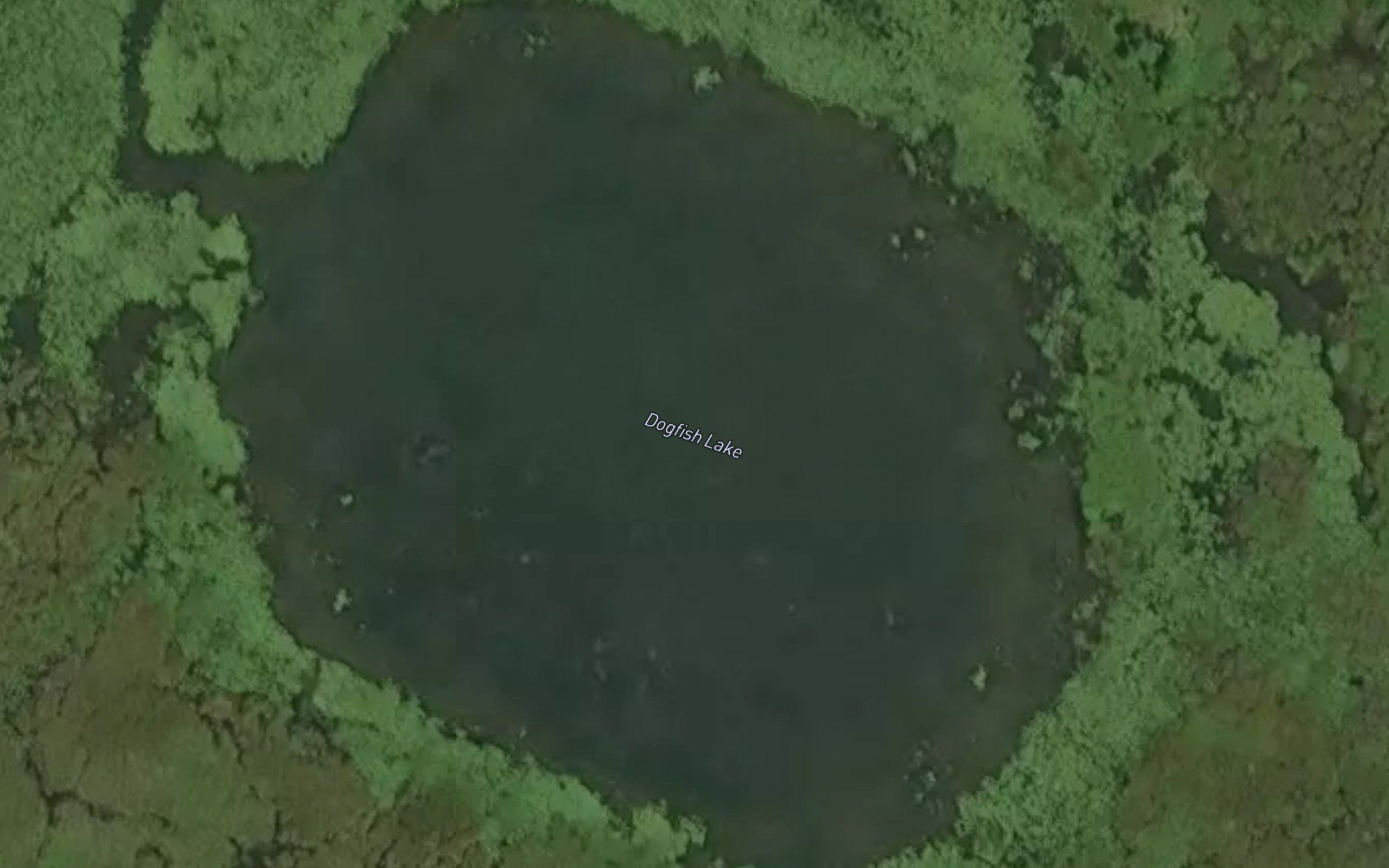 Dogfish Lake