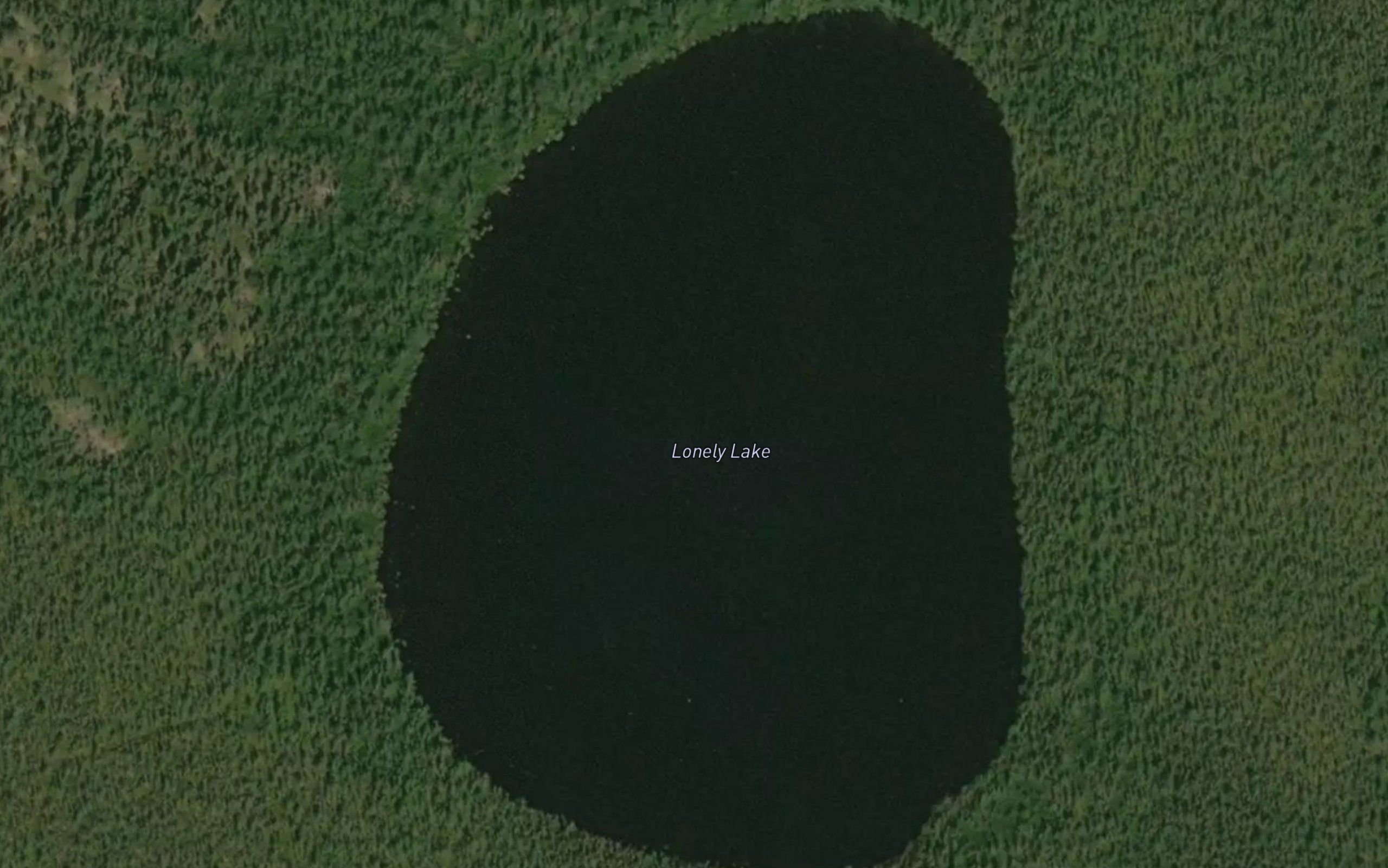Lonely Lake