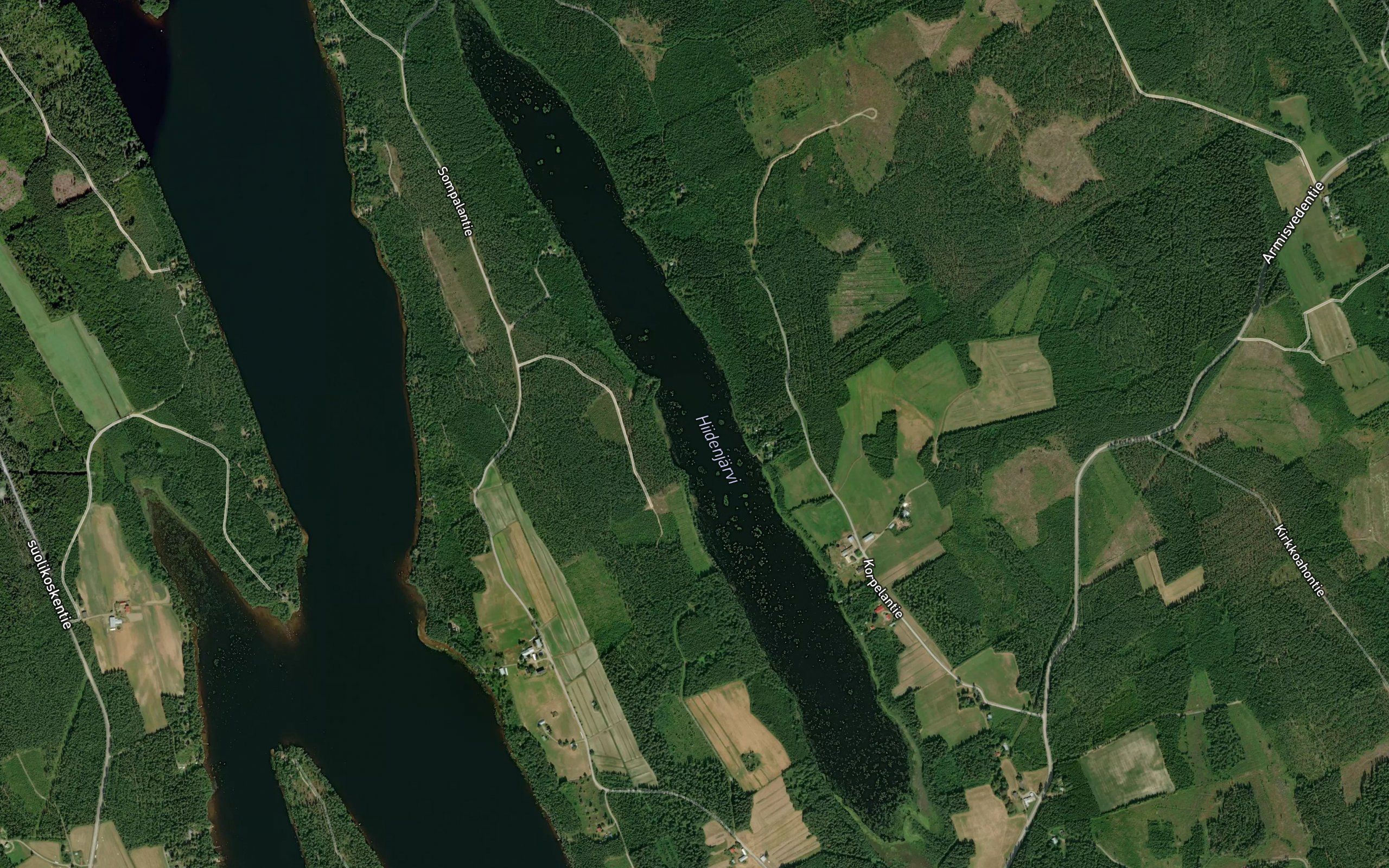Kirkkoahonjoki