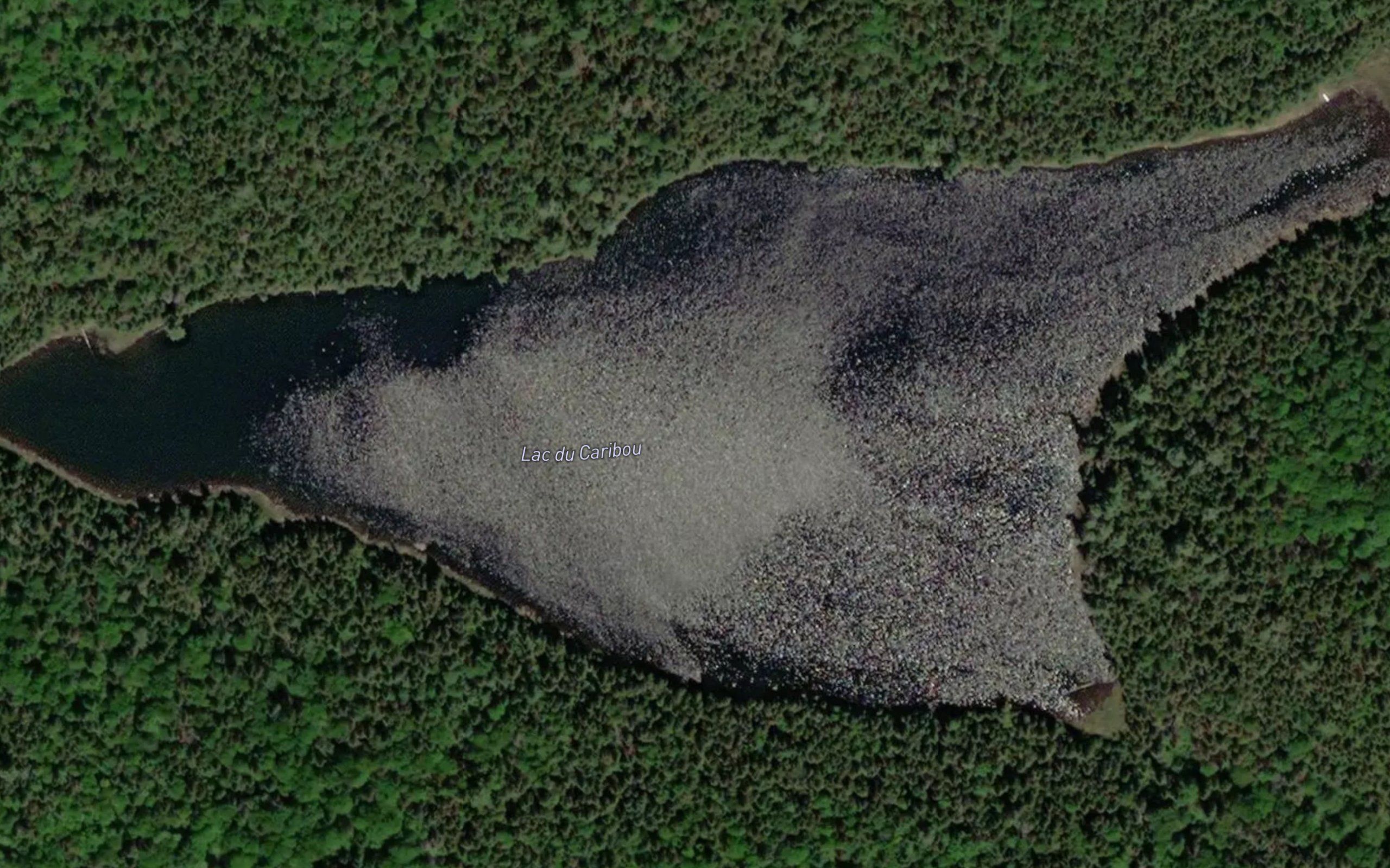 Lac du Caribou