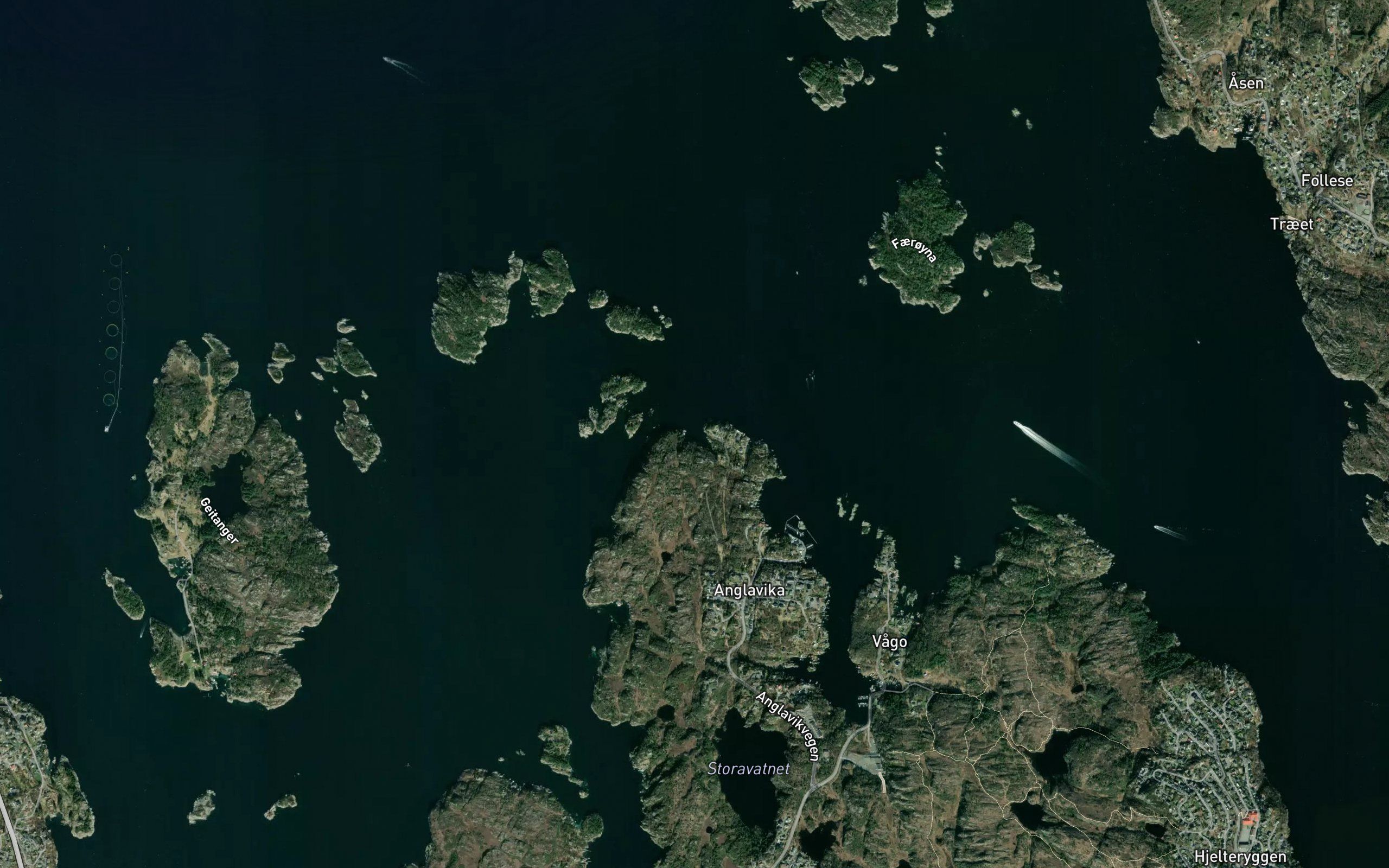 Snellevika