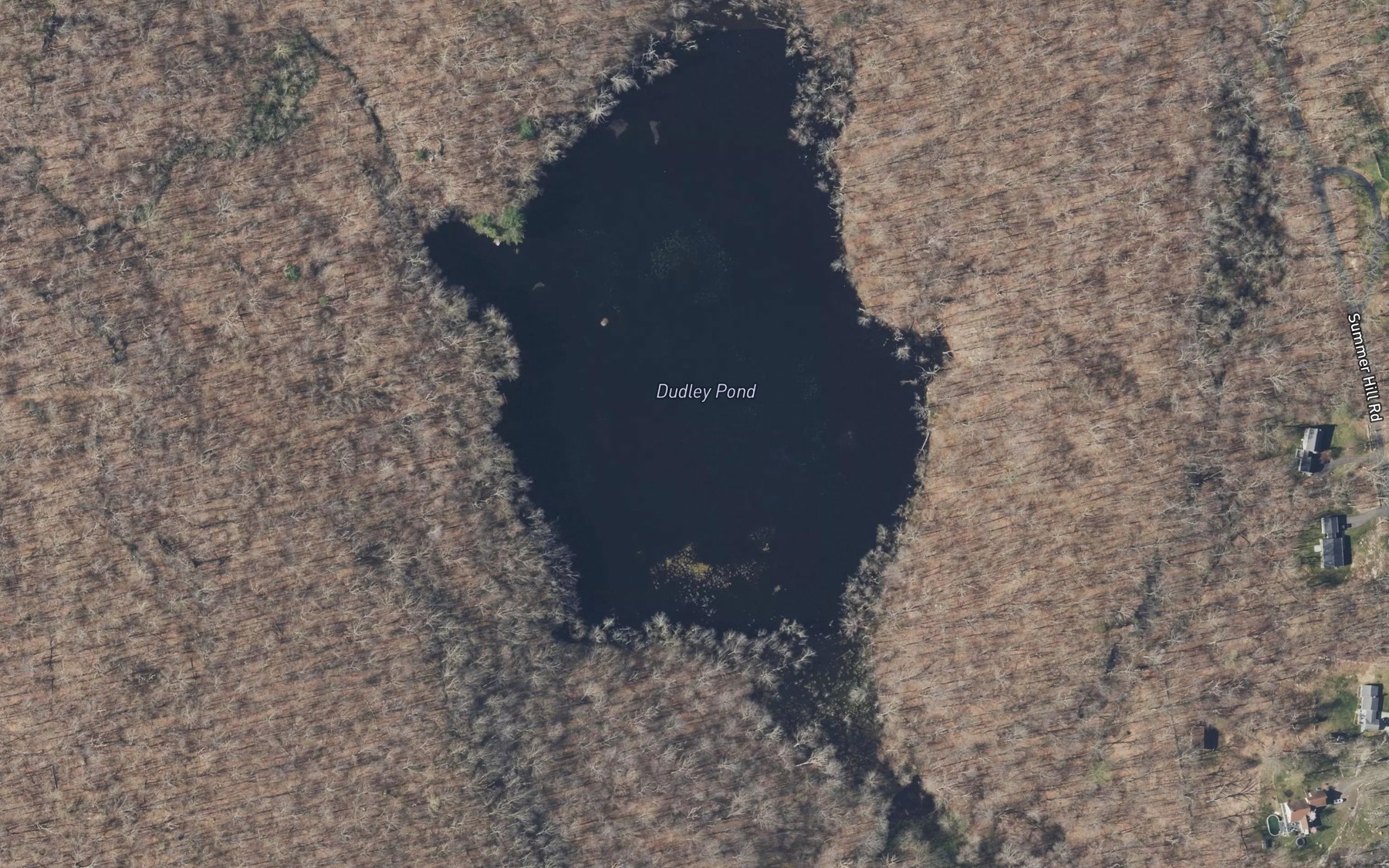 Satellite map of the Dudley Pond