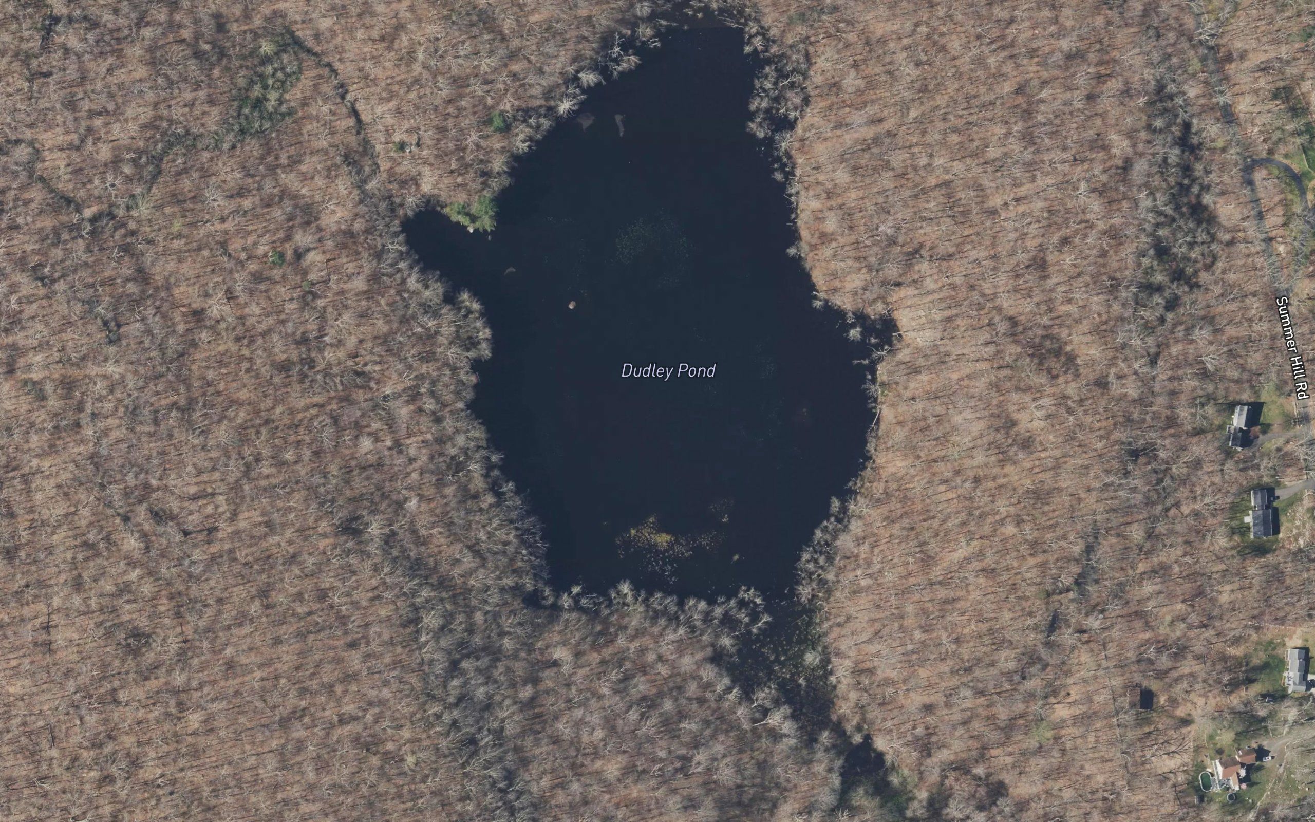 Dudley Pond