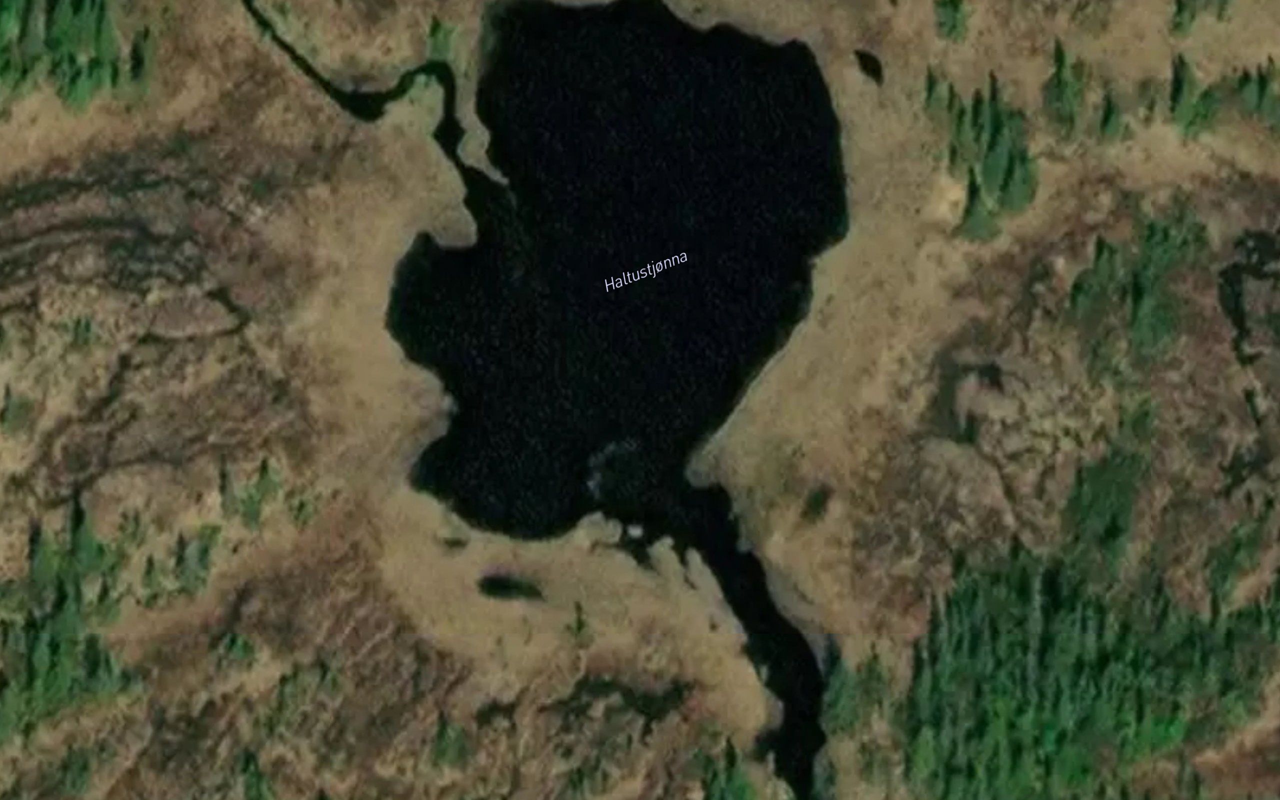 Haltustjonna
