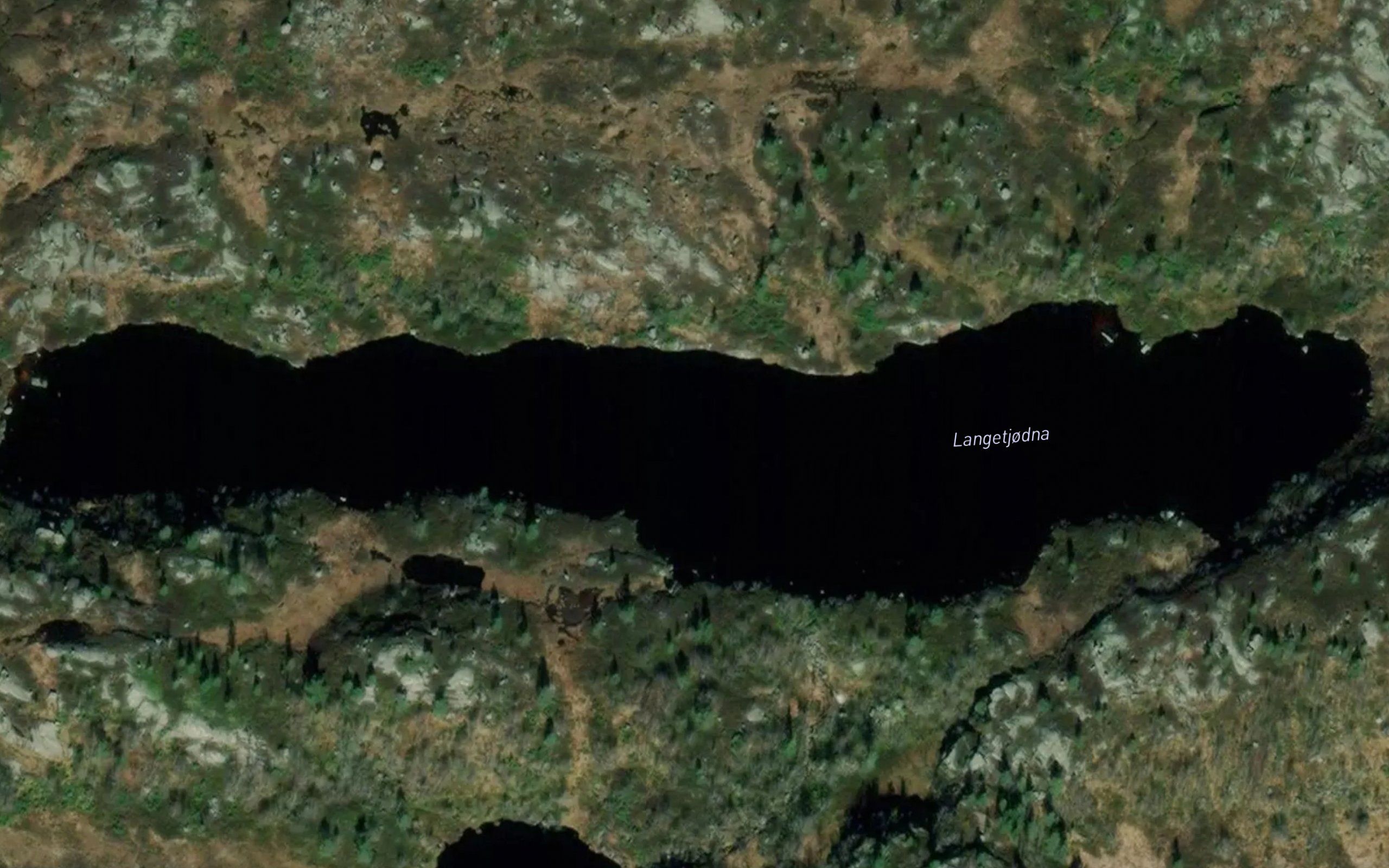 Langetjodna