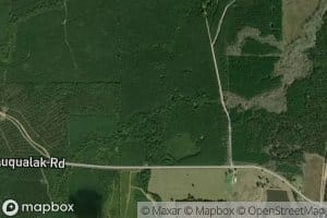 Mud Creek