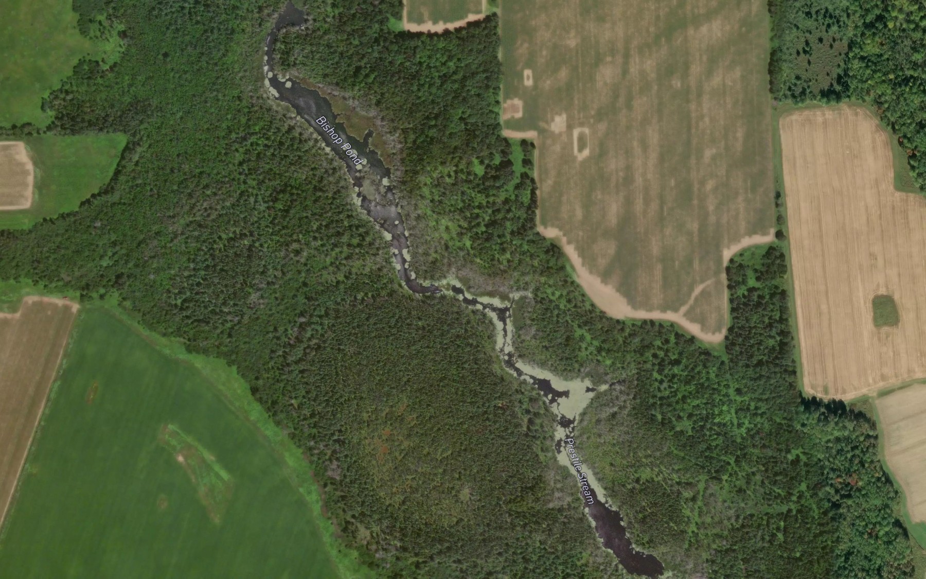 Satellite map of the Bishop Pond