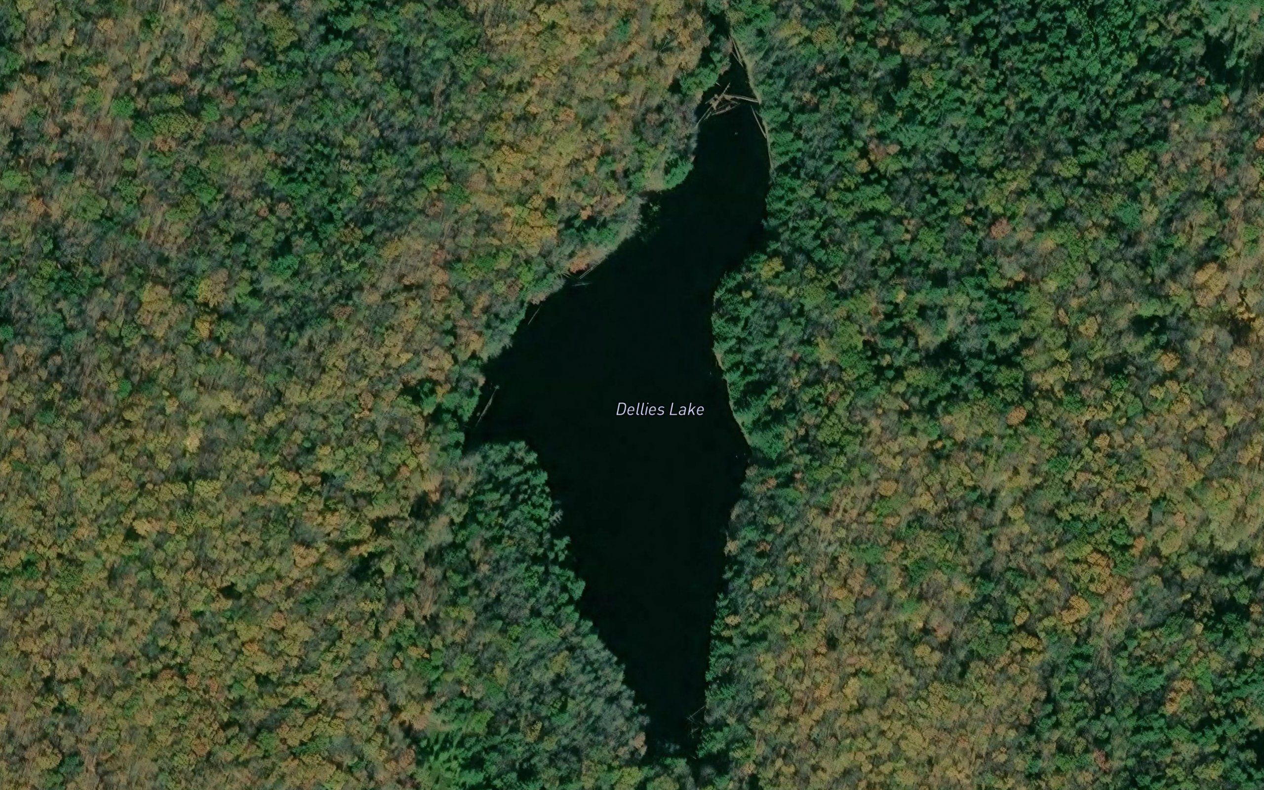 Dellies Lake