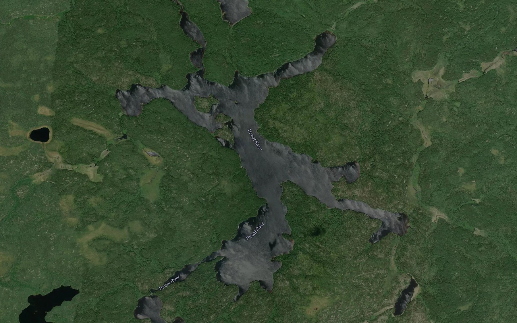 Satellite map of the Willis Lake