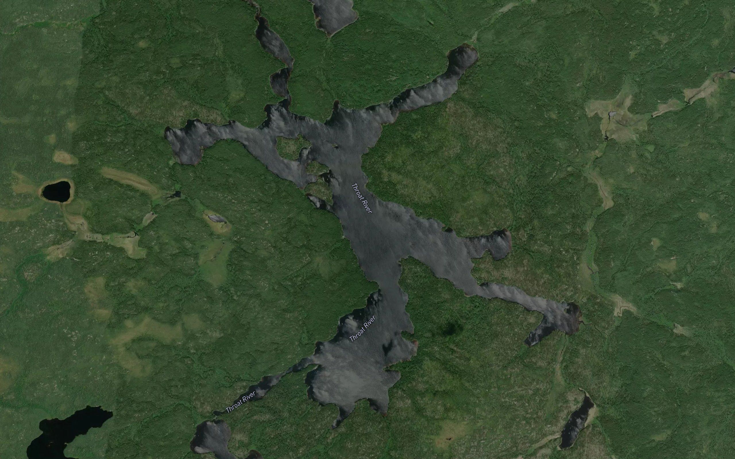Willis Lake