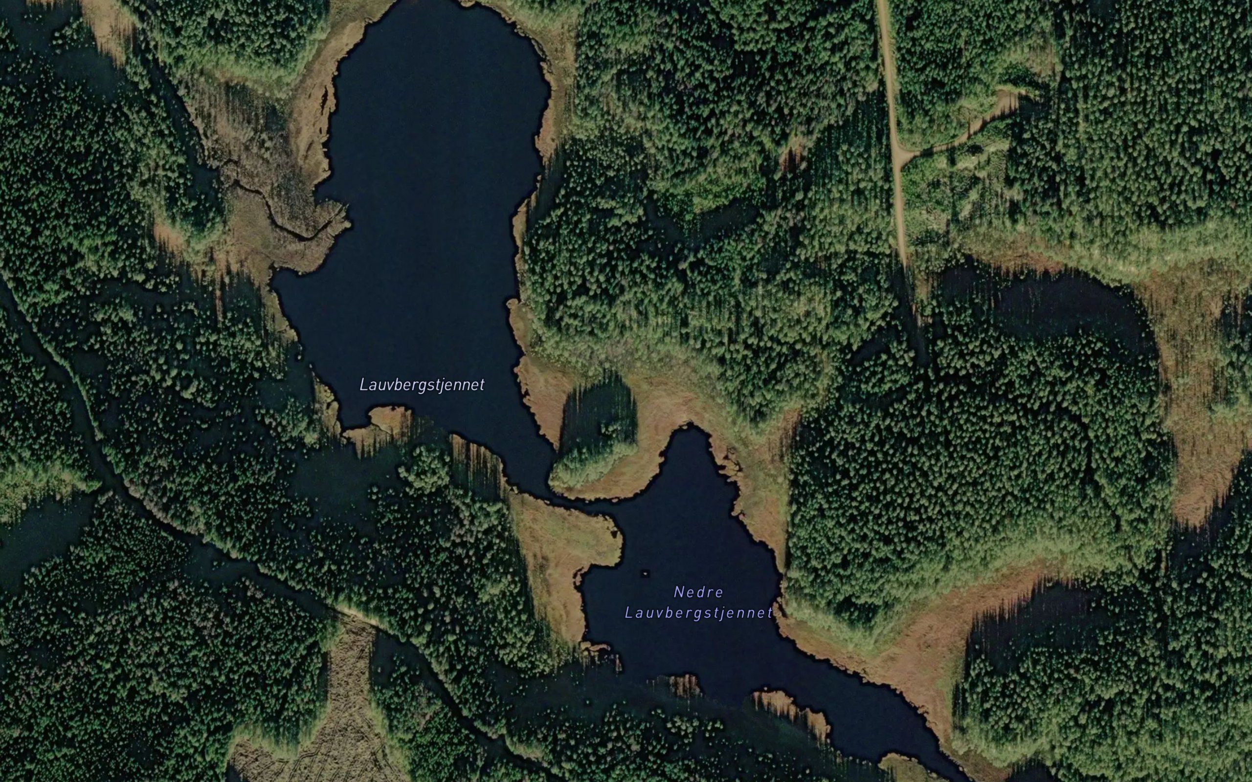 Lauvbergstjennet