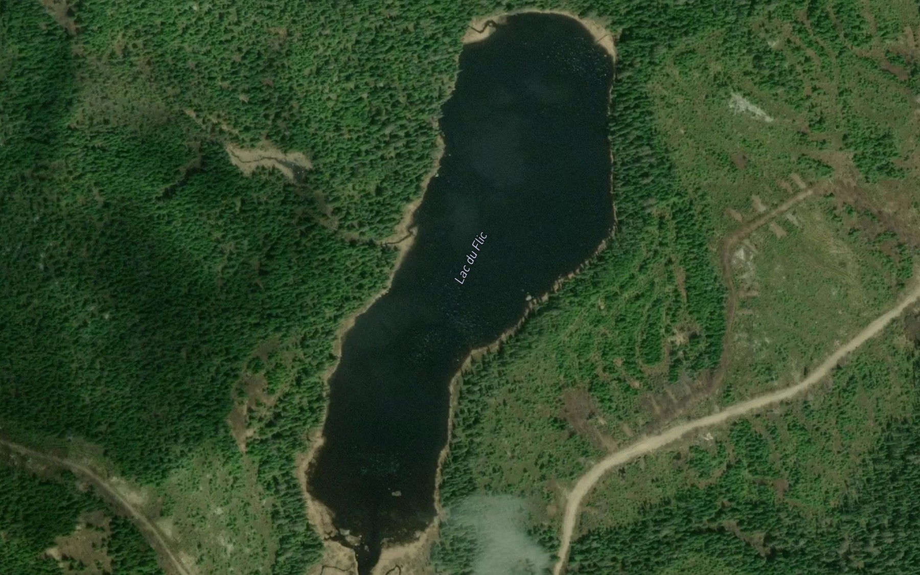 Satellite map of the Lac du Flic