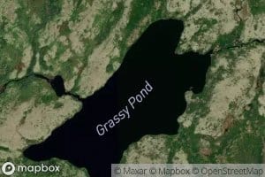 Grassy Pond