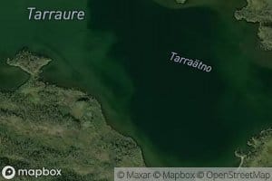 Tarraure