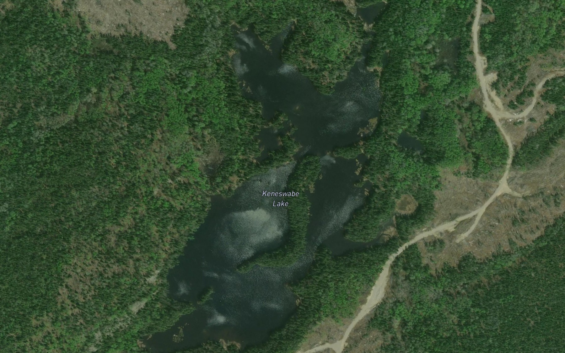 Satellite map of the Keneswabe Lake