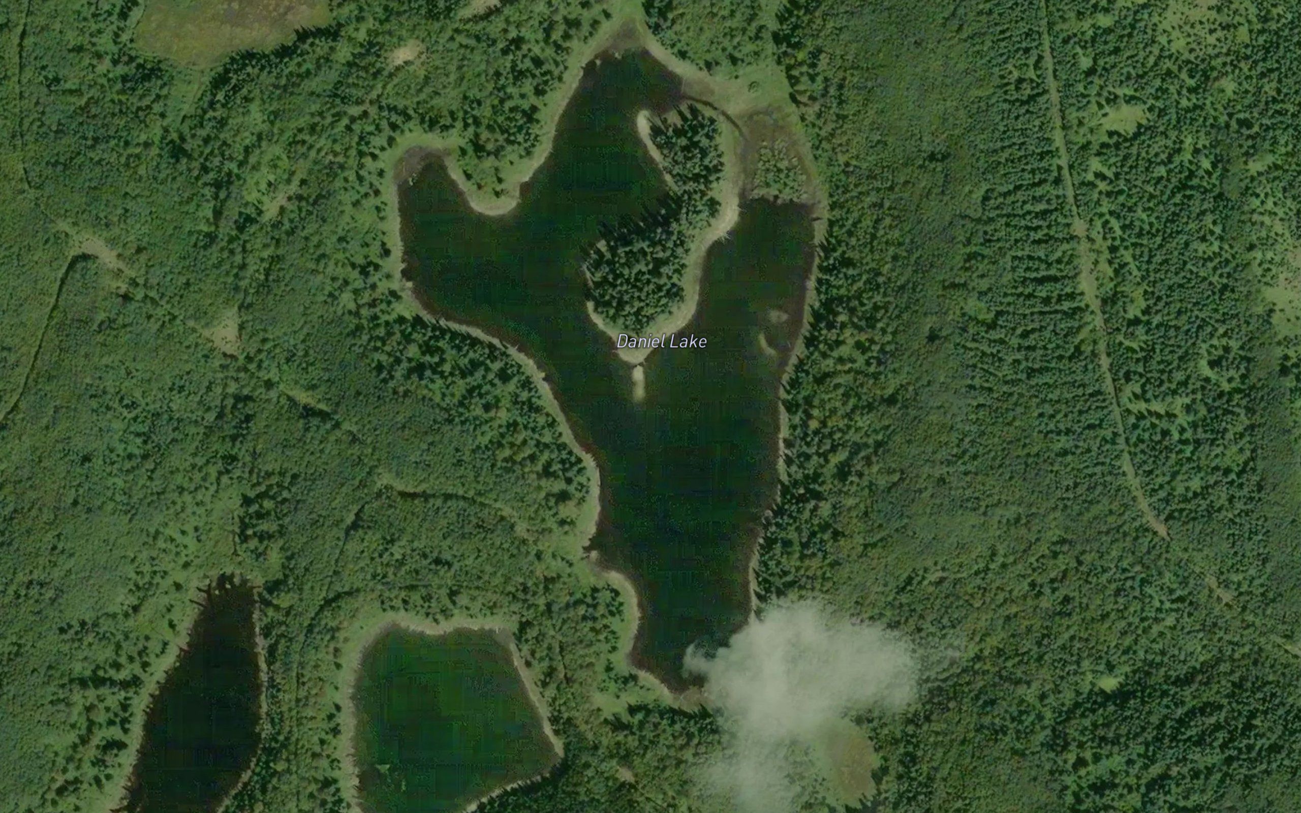 Daniel Lake
