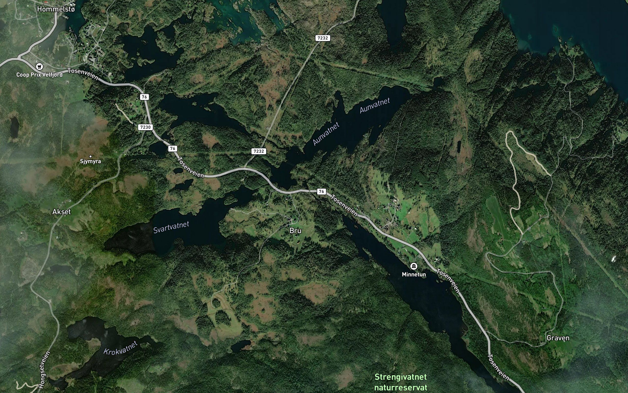 Brustokkstraumen