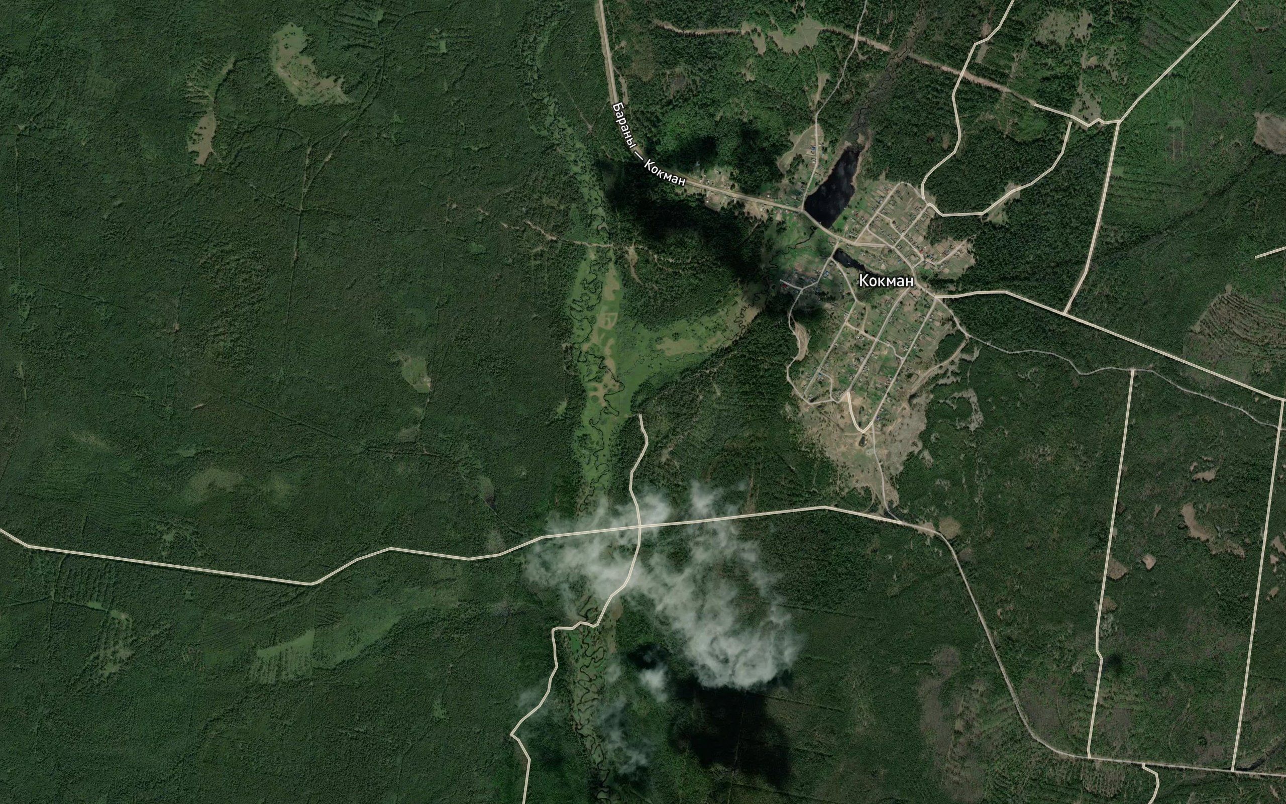 Kokmanka