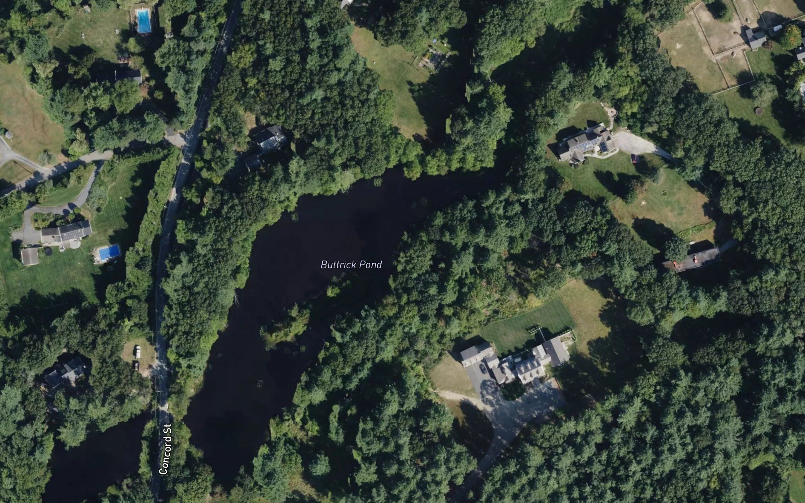 Buttrick Pond