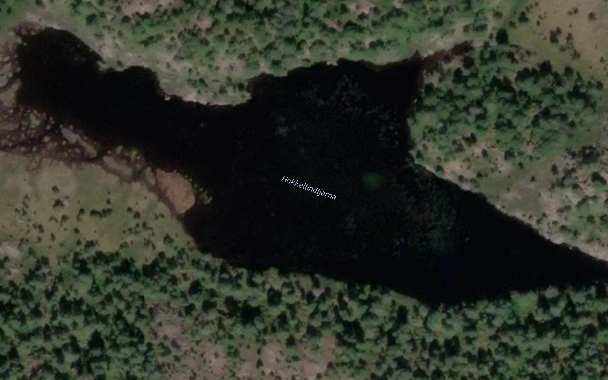 Hokkeltindtjorna