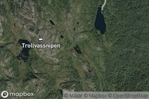 Olestjorna
