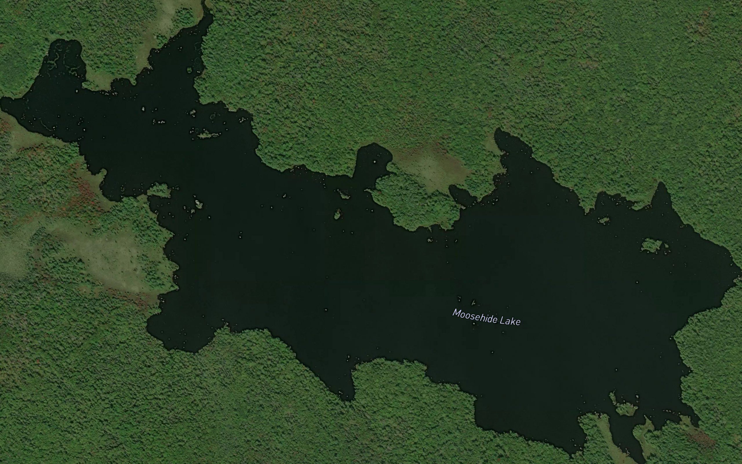 Moosehide Lake