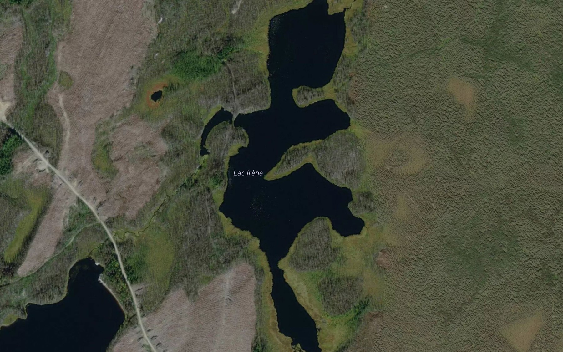 Satellite map of the Lac Irene