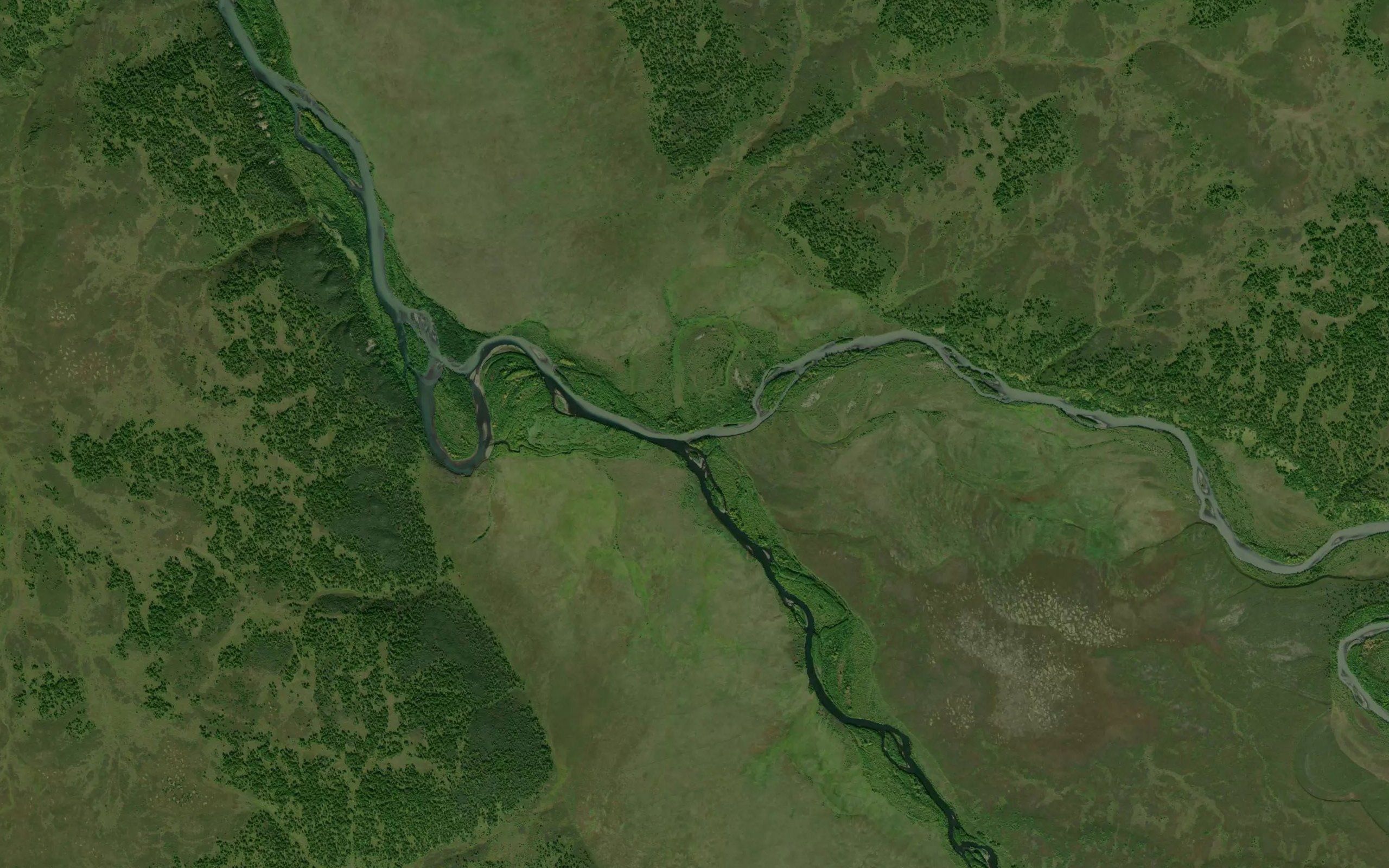 Mutnaya