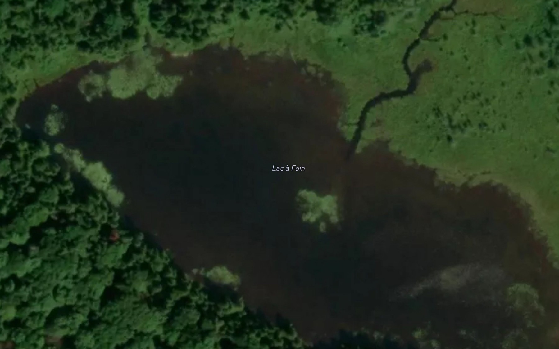 Satellite map of the Lac a Foin