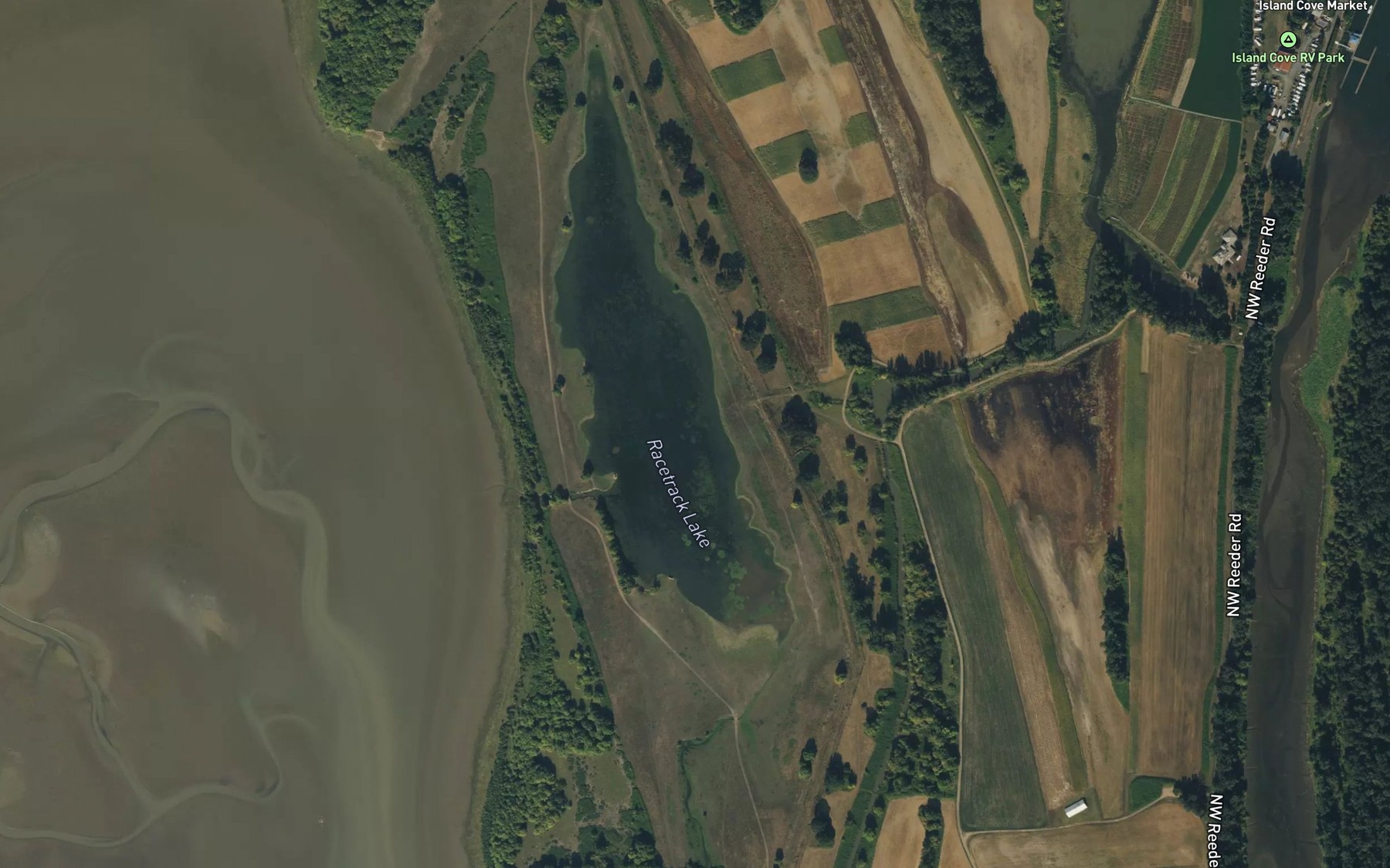 Satellite map of the Racetrack Lake