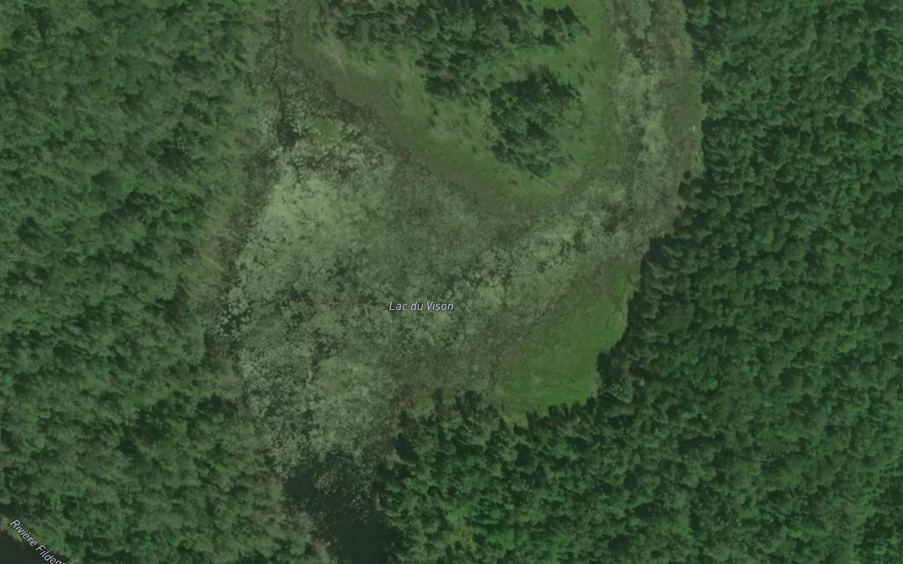 Satellite map of the Lac du Vison