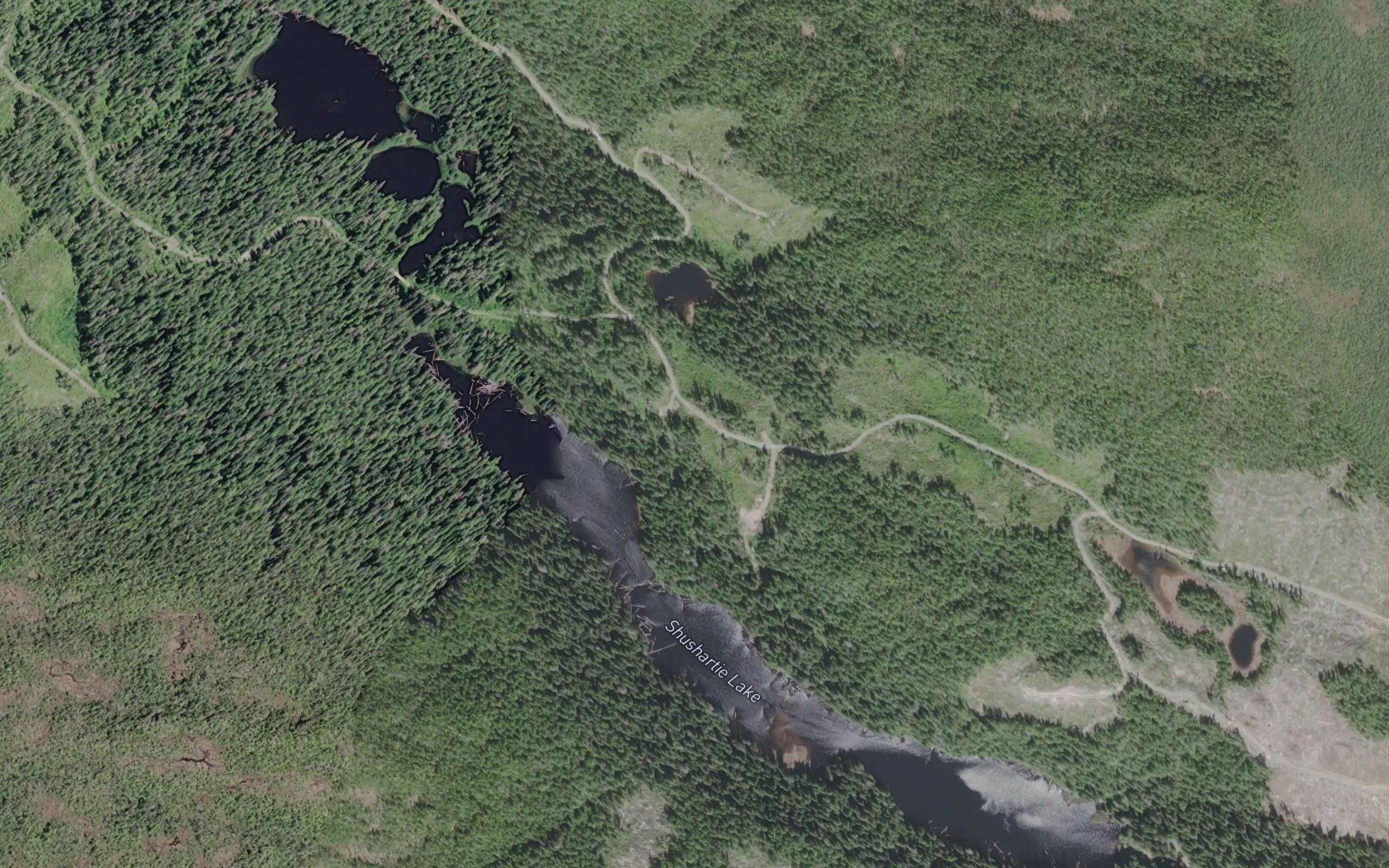 Shushartie Lake