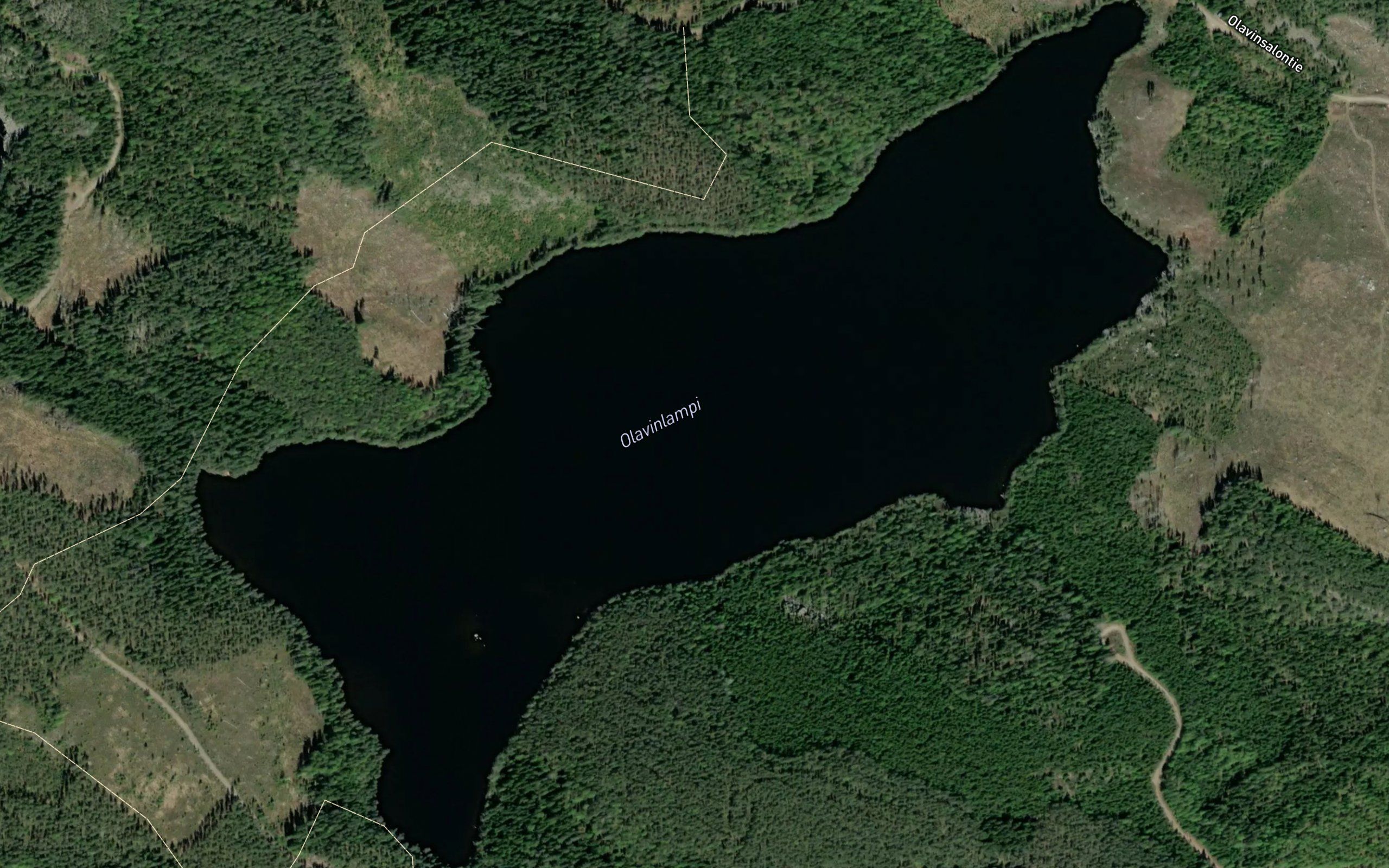 Olavinlampi