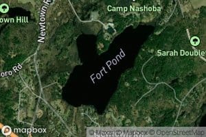 Fort Pond