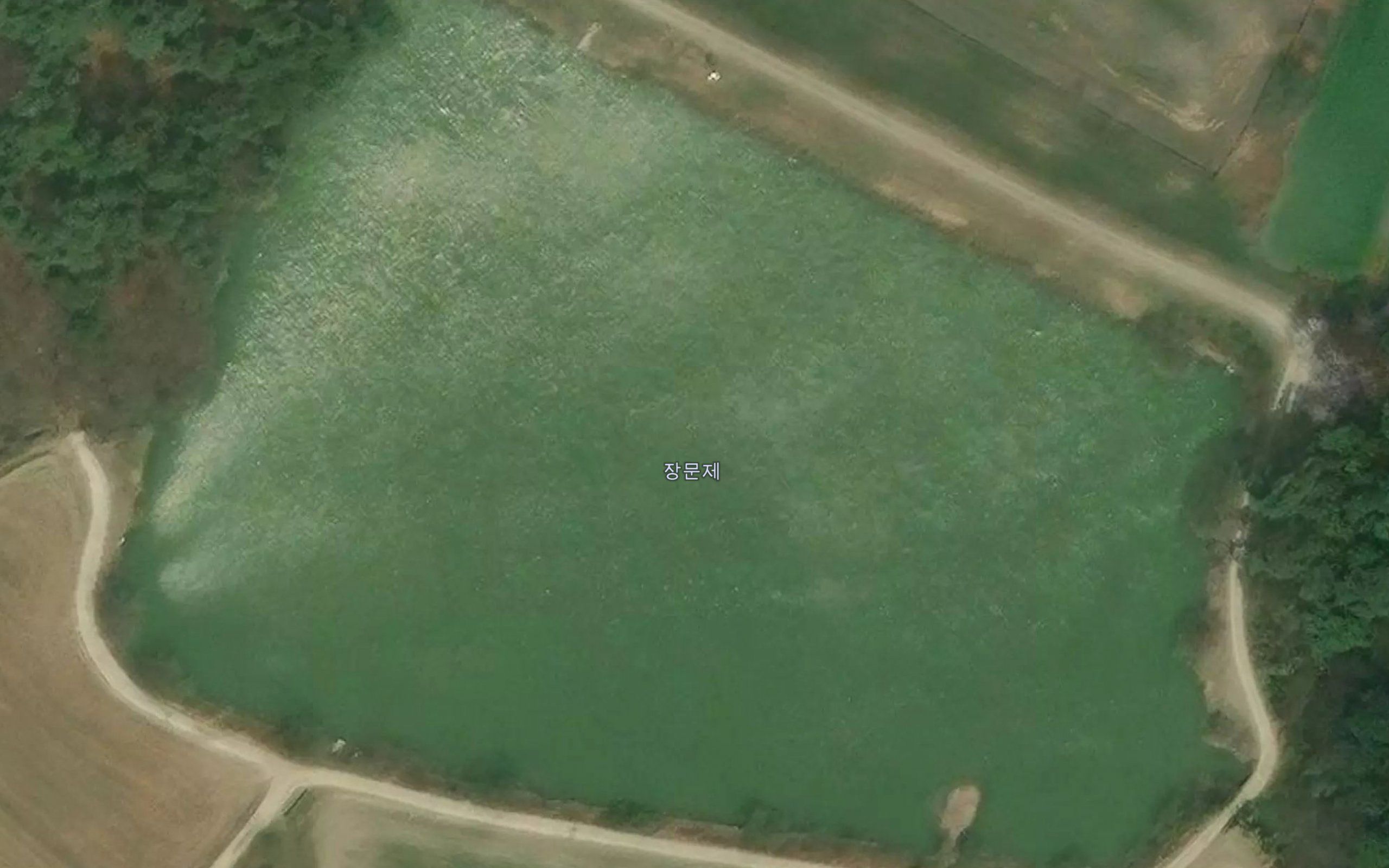 Jangmunje