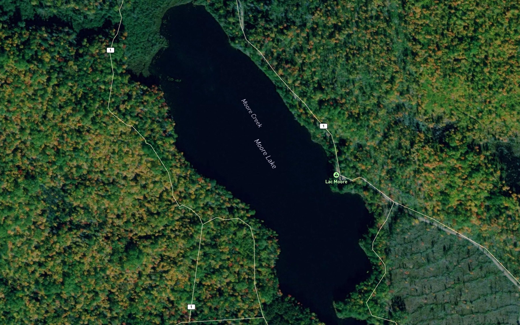 Satellite map of the Lac a Moore