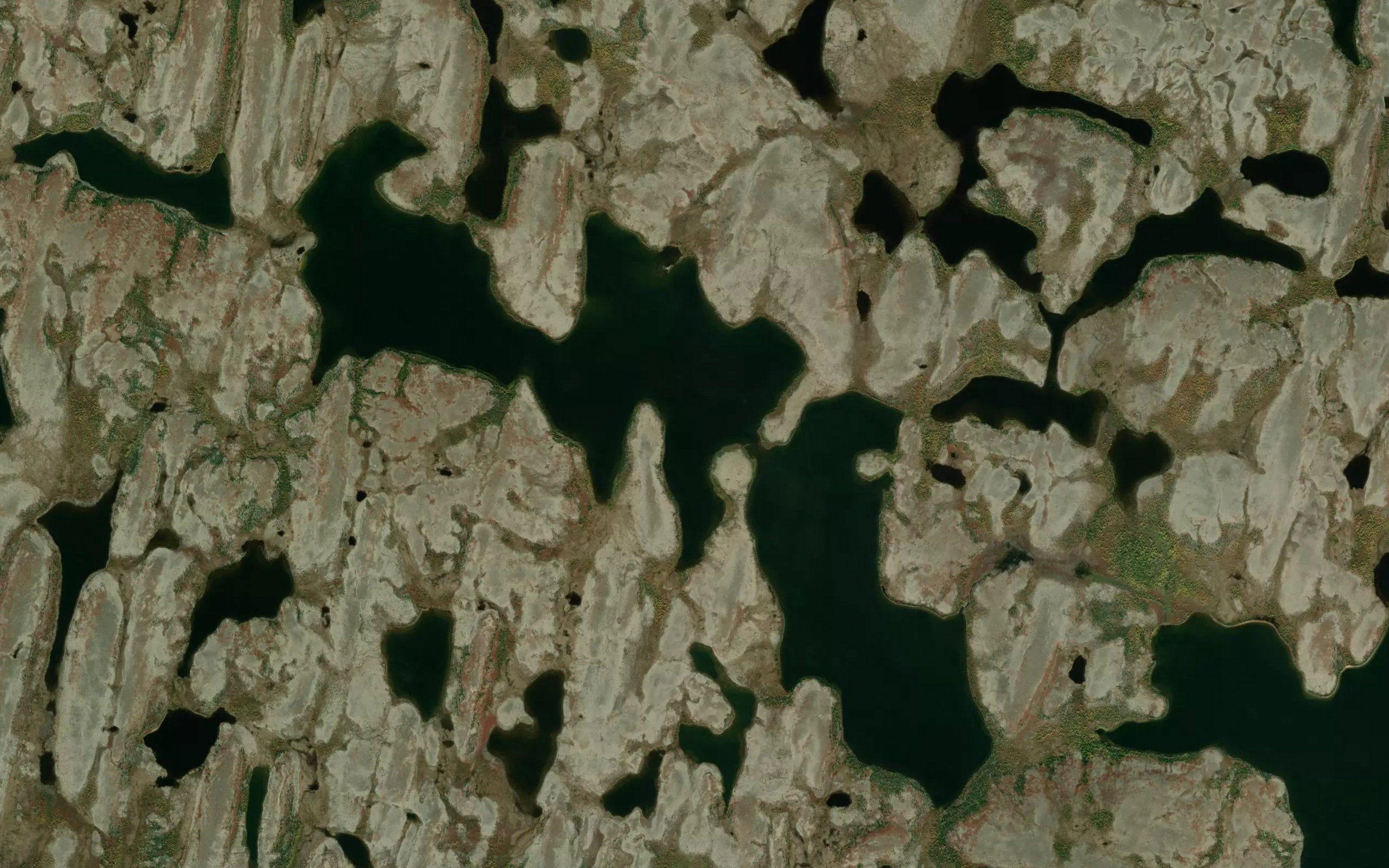 McElroy Lake