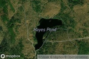 Hayes Pond