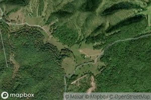 Ensell Mercer Spring