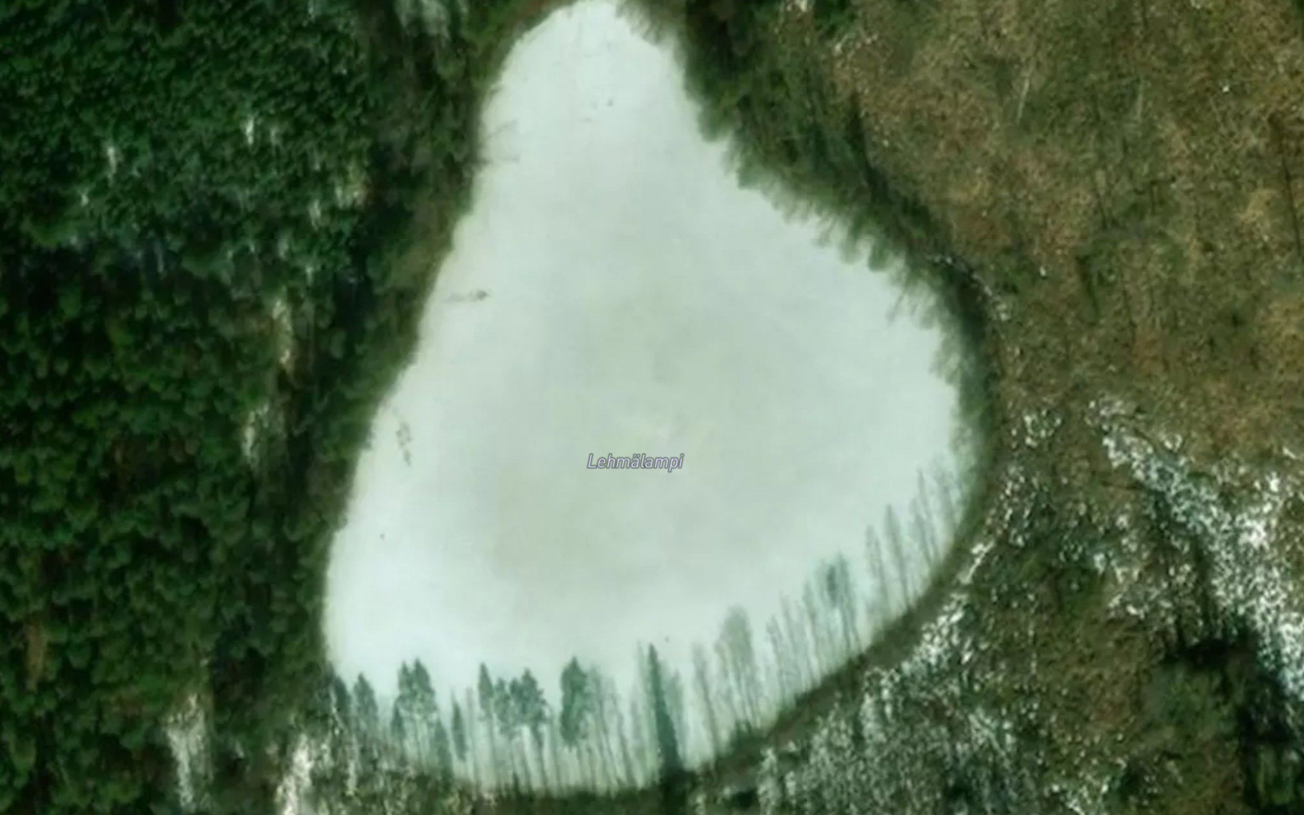 Lehmalampi