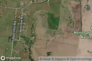 Mother of Ducks Lagoon