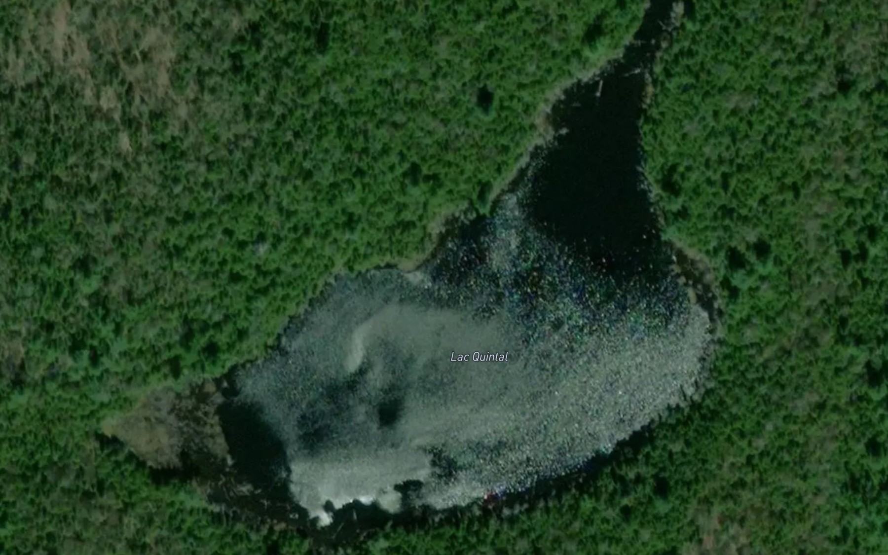 Satellite map of the Lac Quintal