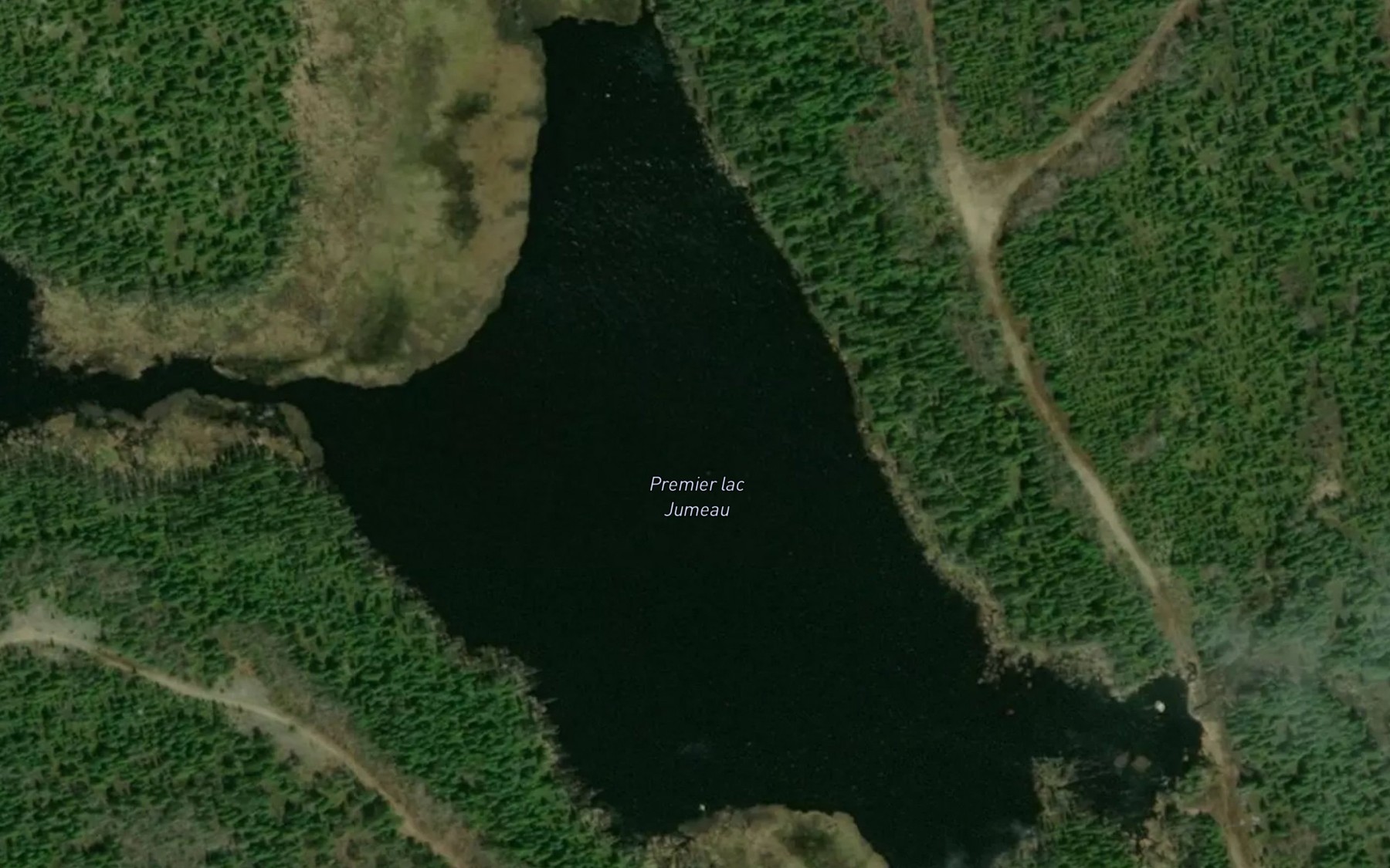Satellite map of the Premier lac Jumeau